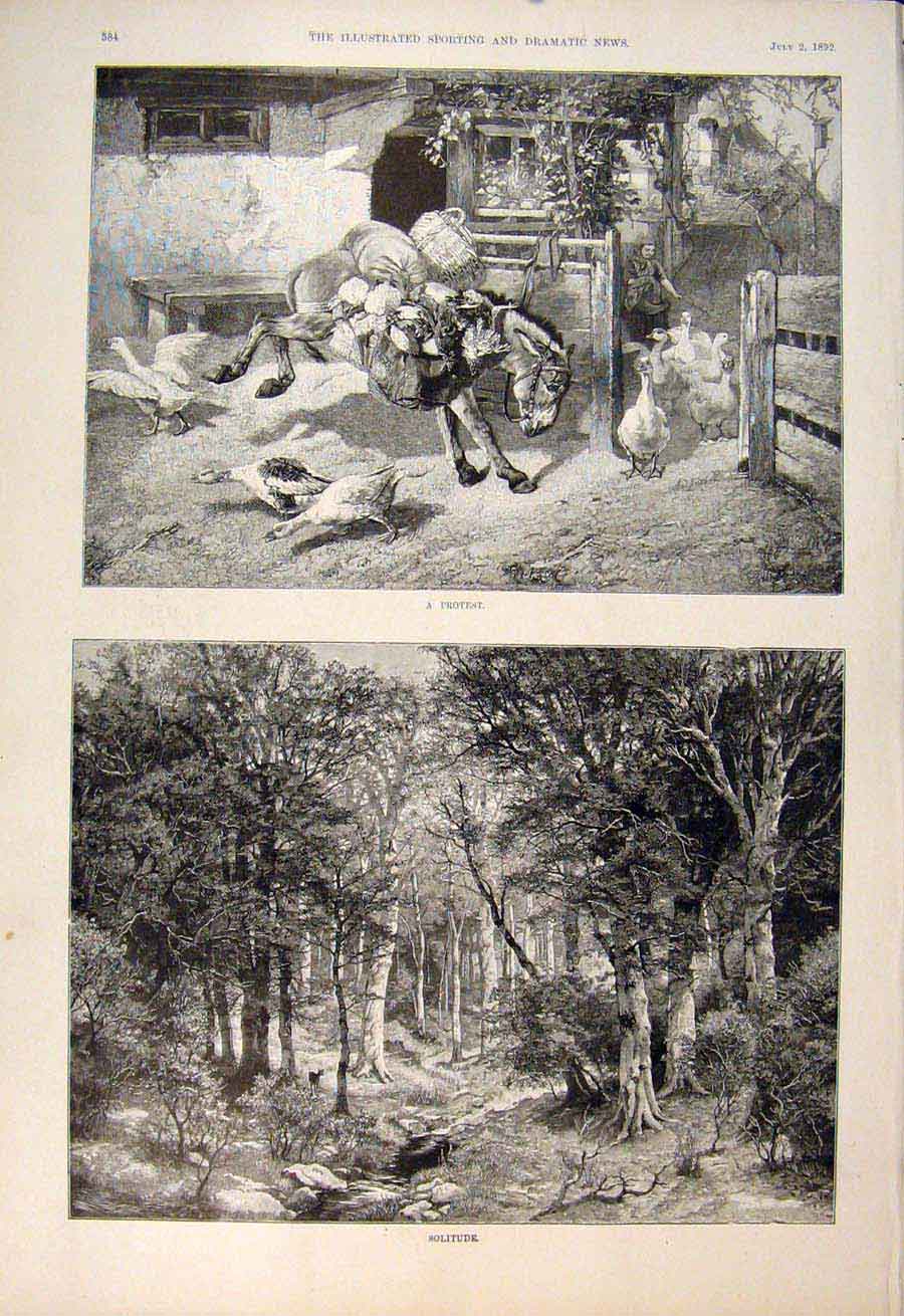 Old Antique Print Protest Donkey Geese Solitude Forest Deer Fine Art 1892 19th