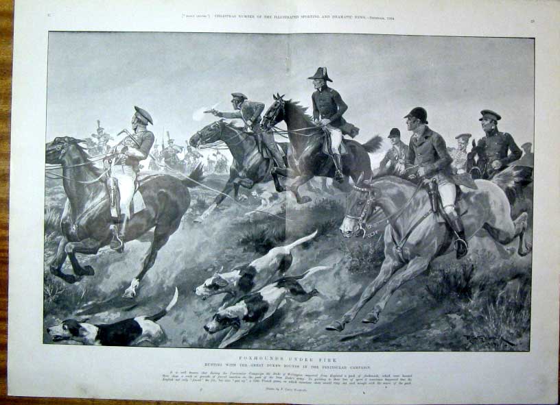 Original Old Antique Print Fox Hounds Under Fire 1904 Spain 20th Century