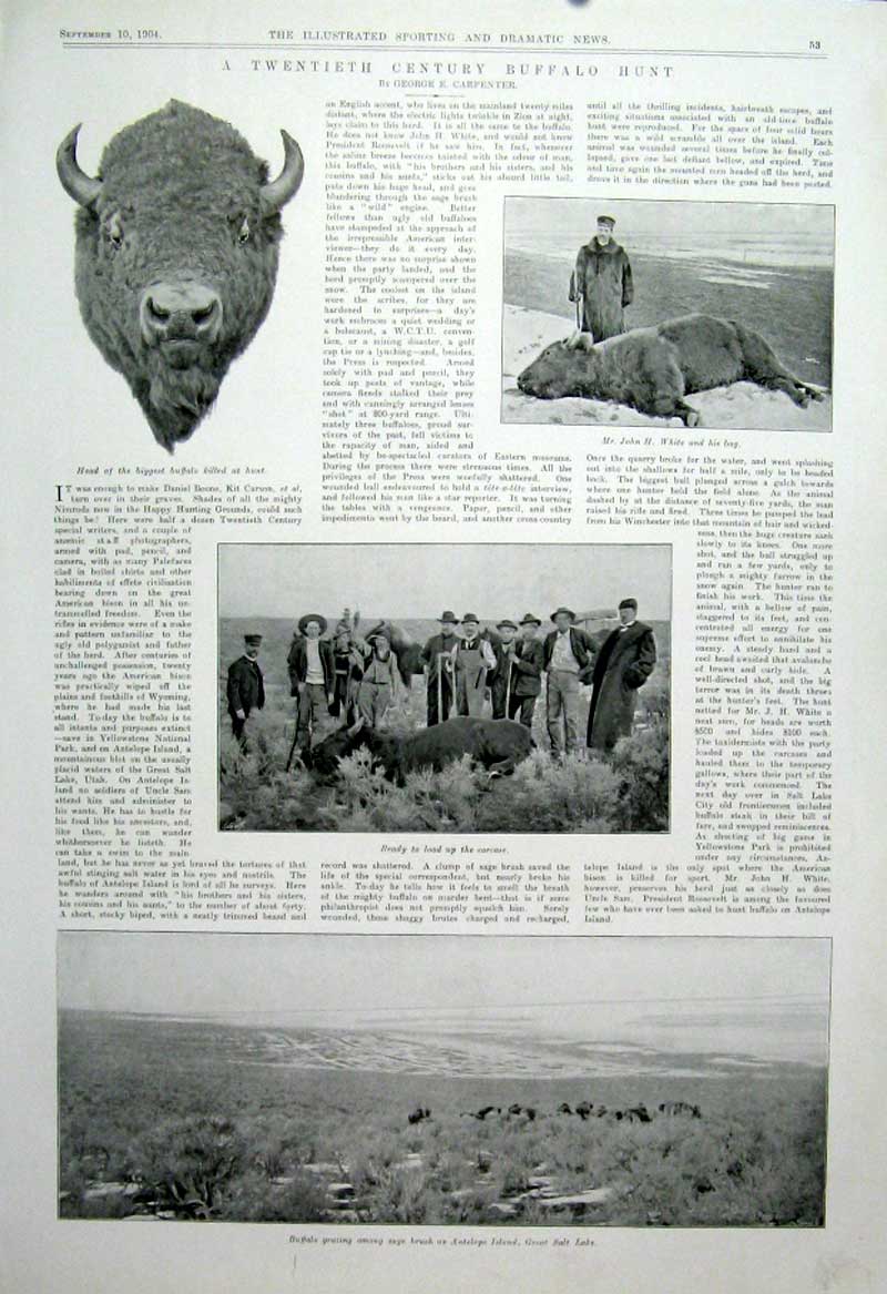 Original Old Antique Print A Twentieth Century Buffalo Hunt 1904 America 20th