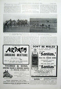 Antique Old Print Rock Sands Last Racetotal Winnings ?ê?È45623 1904 Newmarke