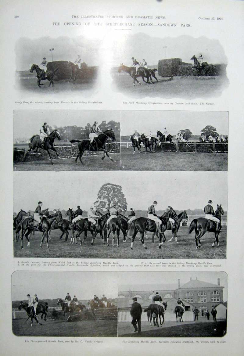 Original Old Antique Print Sandown Park Steeplechase Season 1904 Horse R 20th