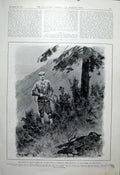 Original Old Antique Print King Portugal Deer Shooting Sierra De Monchique 1904
