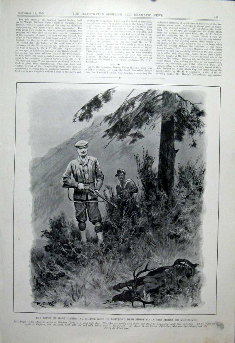Original Old Antique Print King Portugal Deer Shooting Sierra De Monchique 1904