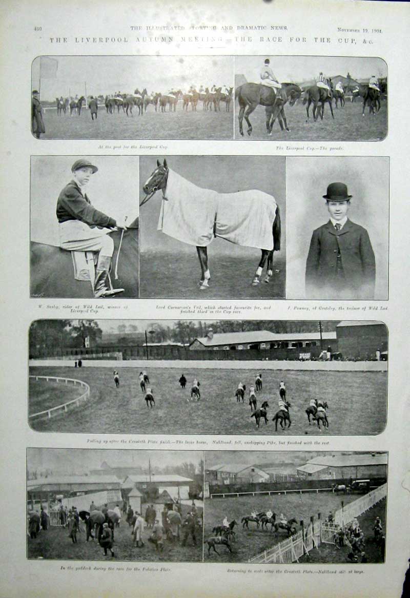 Original Old Antique Print Liverpool Autumn Horse Race 1904 20th Century