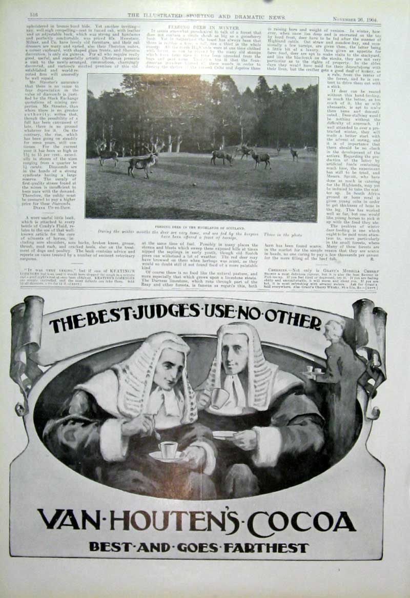 Original Old Antique Print Feeding Der Highlands Scotland 1904 20th Century