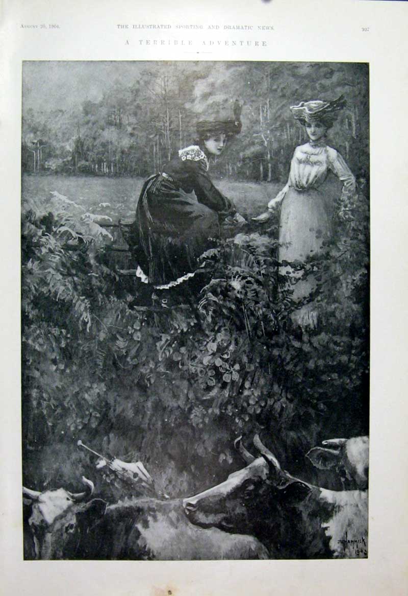 Original Old Antique Print Terrible Adventure Cows & Parasol Fine Art 1904 20th
