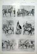 Original Old Antique Print Riding & Driving Studies 1904 Sturgess Horse 20th