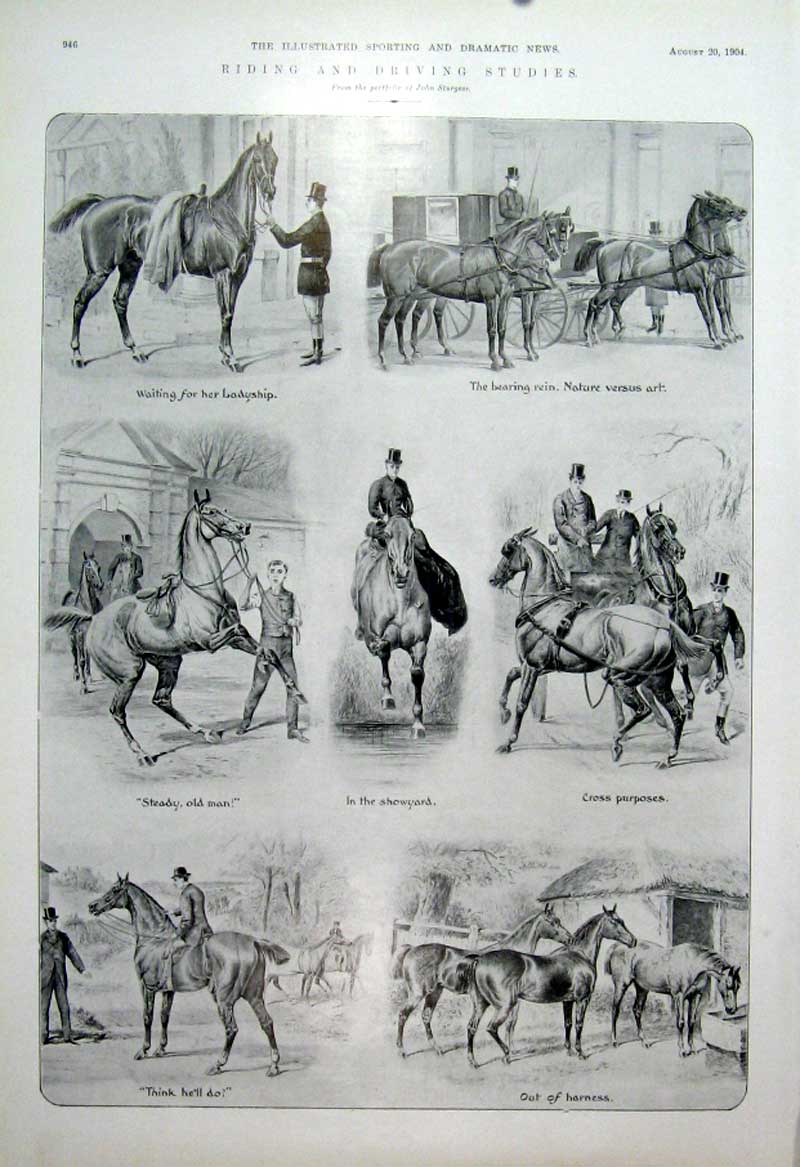 Original Old Antique Print Riding & Driving Studies 1904 Sturgess Horse 20th