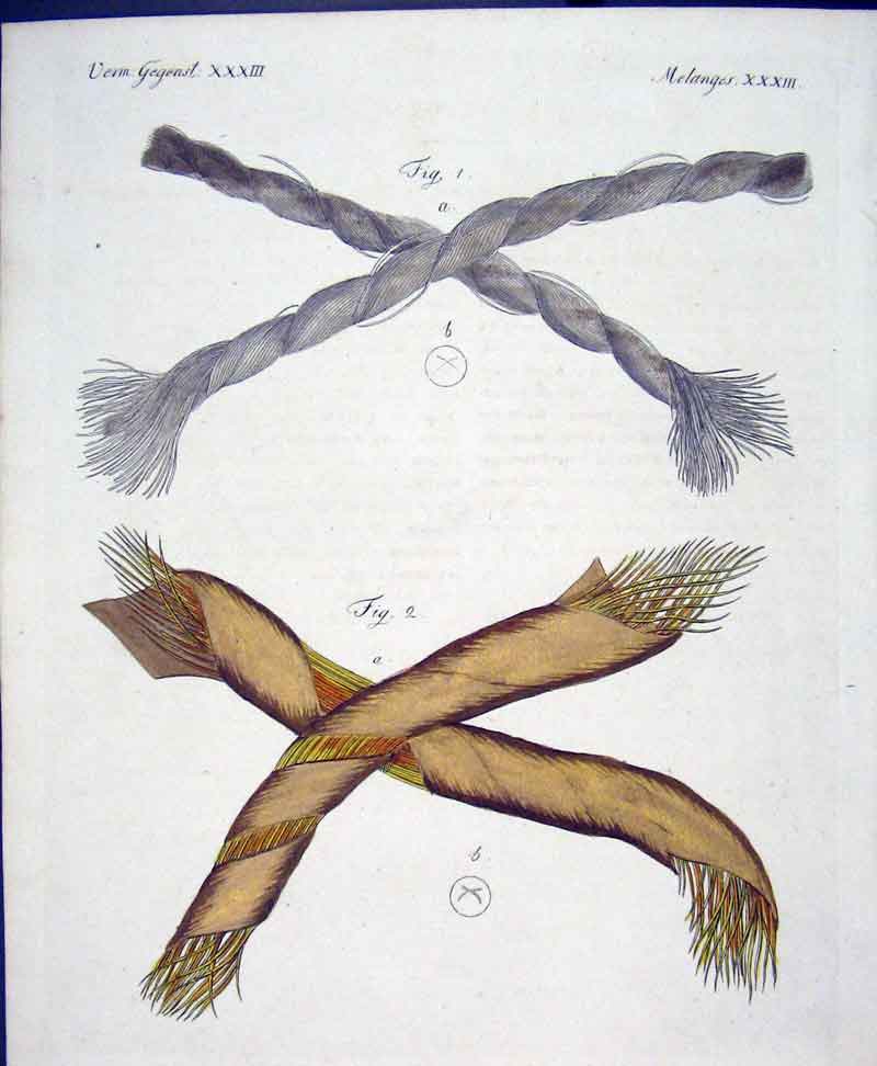 Original Old Antique Print C1845 H/C Natural History Plate Xxx111 Micro Threads