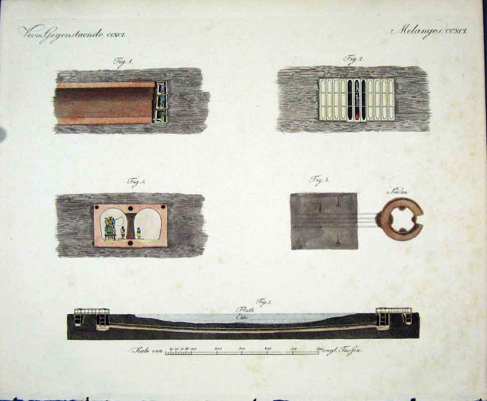 Original Old Antique Print C1845 H/C Natural History Plate Ccxc1 19th