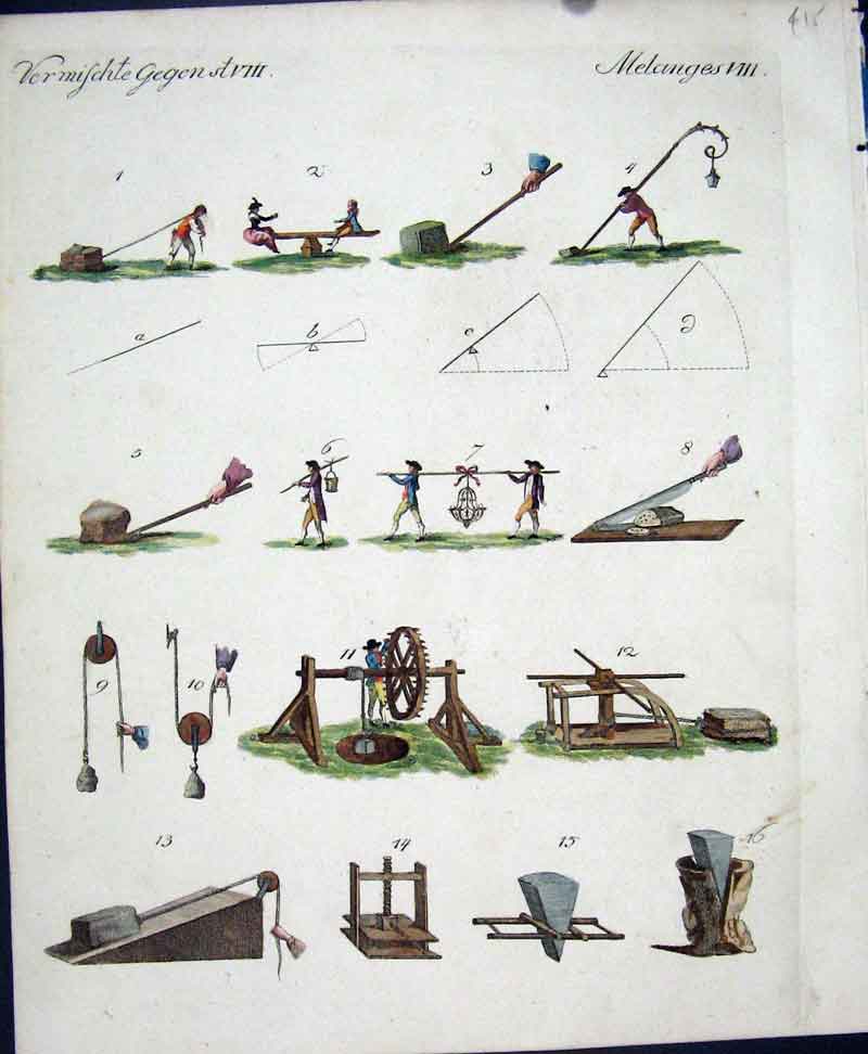 Original Old Antique Print C1845 H/C Natural History Plate V111 Seesaw To Wedge