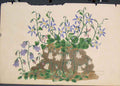 Original Old Antique Print Flora Fauna Flower Colour *1 Fine Art 1855 Ref.2