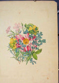 Original Old Antique Print Flora Fauna Flower Colour *6 Fine Art 1855 Ref.5