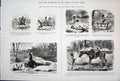 Original Old Antique Print By John Leech Mr Punch Life & Character C1878 19th