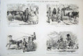 Original Old Antique Print Life & Character Mr Punch C1878 19th