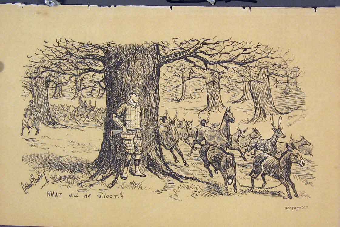 Original Old Antique Print Man Gun Trees C1881 Deer Donkeys Country Victorian