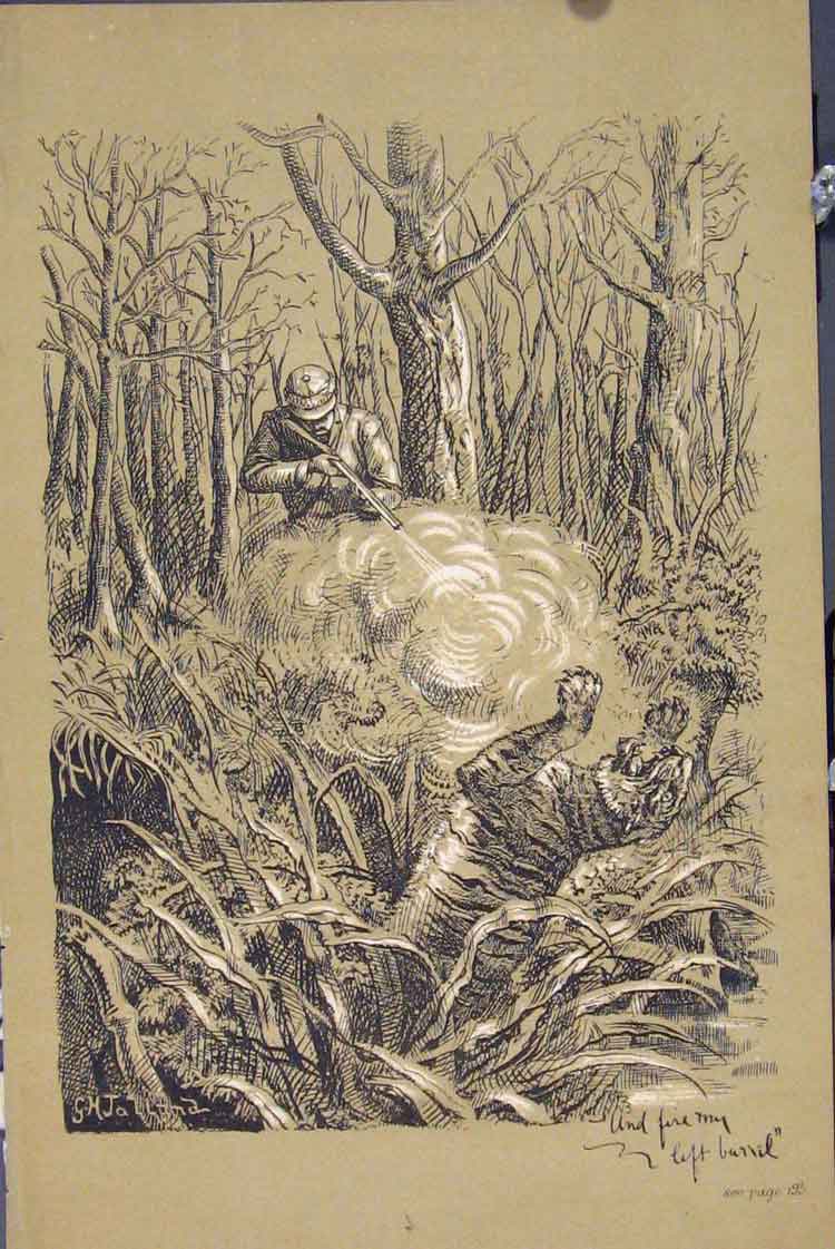 Original Old Antique Print Man Shooting Tiger Trees C1881 Country Scene 19th