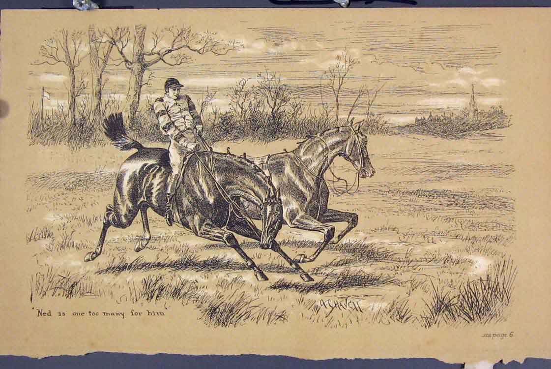 Original Old Antique Print C1881 Horse Jockey Loose Country Field 19th