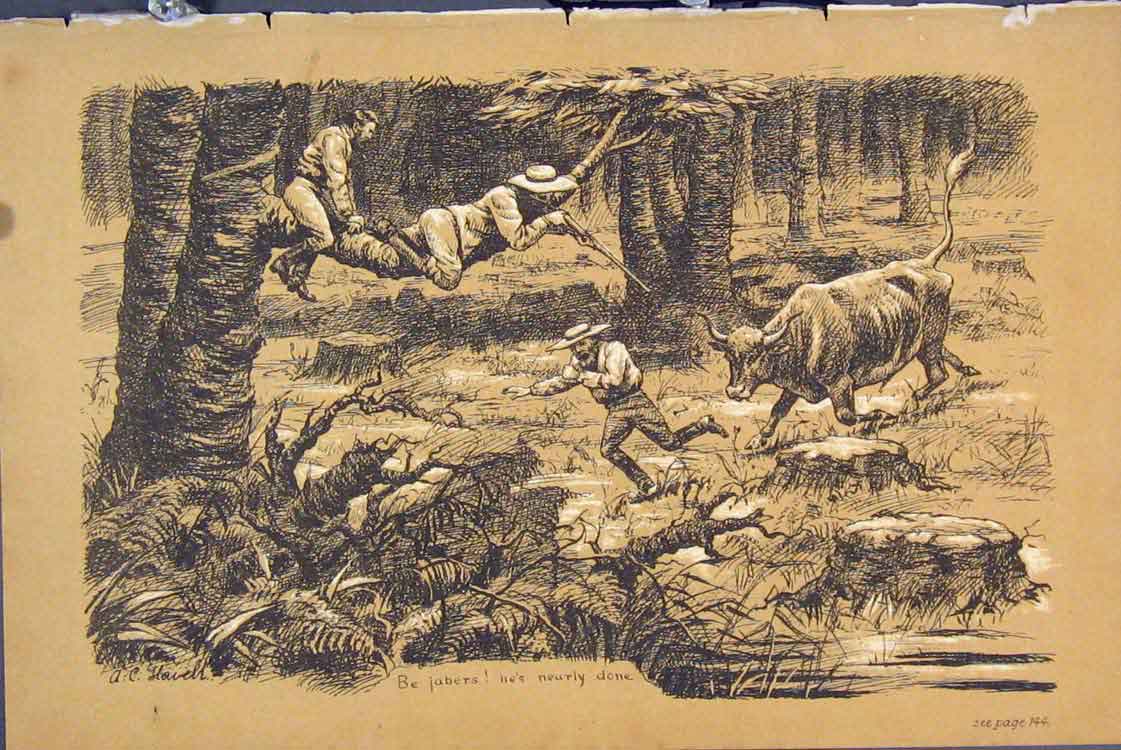 Original Old Antique Print C1881 Men Shooting Hunting Cow Chasing 19th