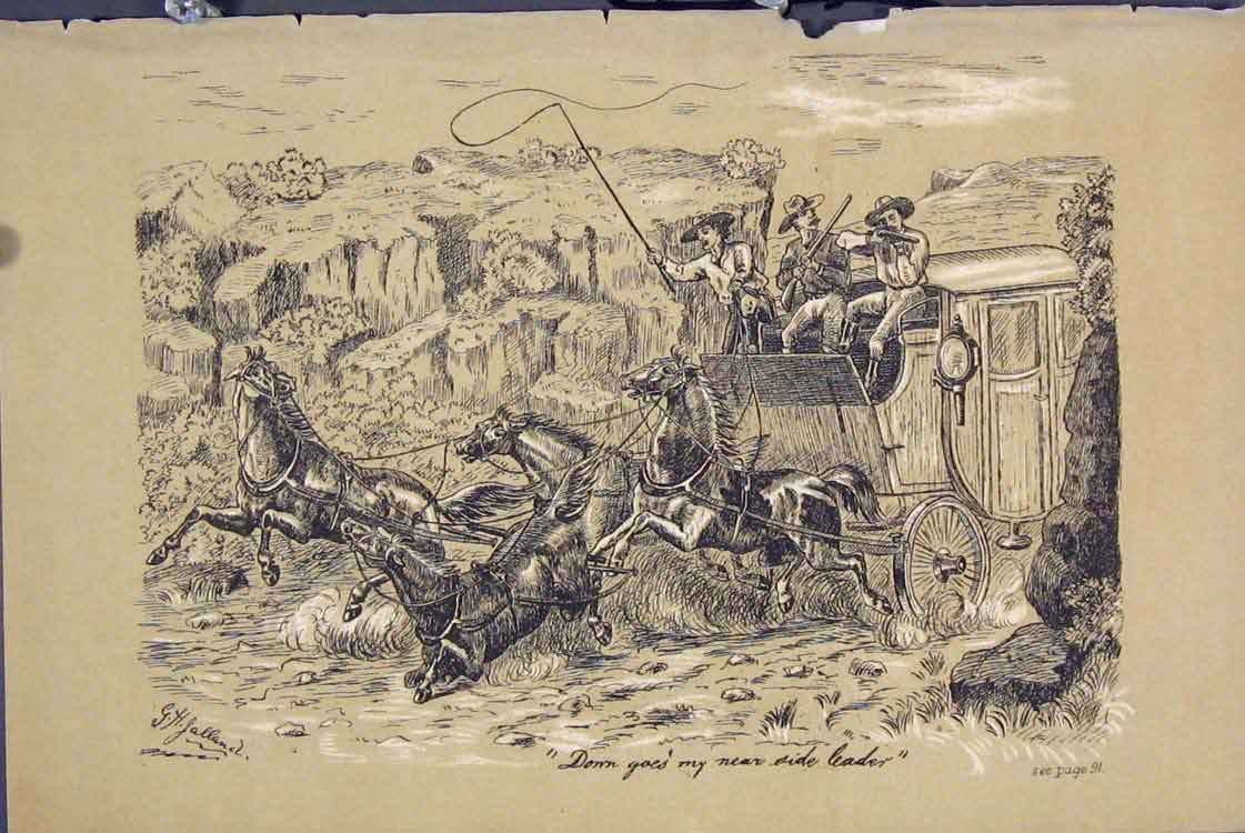 Original Old Antique Print C1881 Men Shooting Horse Falling Coach 19th