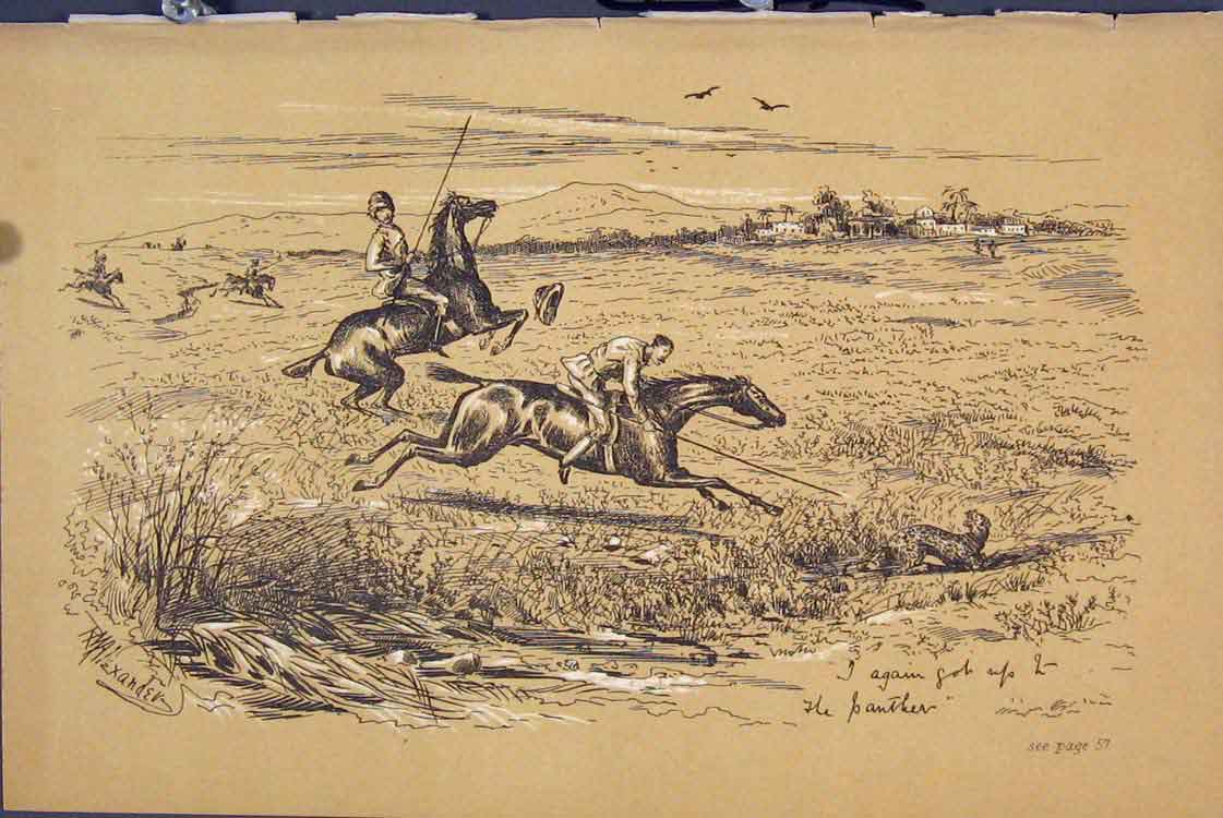 Original Old Antique Print C1881 Leopard Men Horses Spear Country Scene 19th