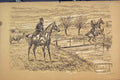 Original Old Antique Print C1881 Horse Jumping River Cow Country Scene Sepia