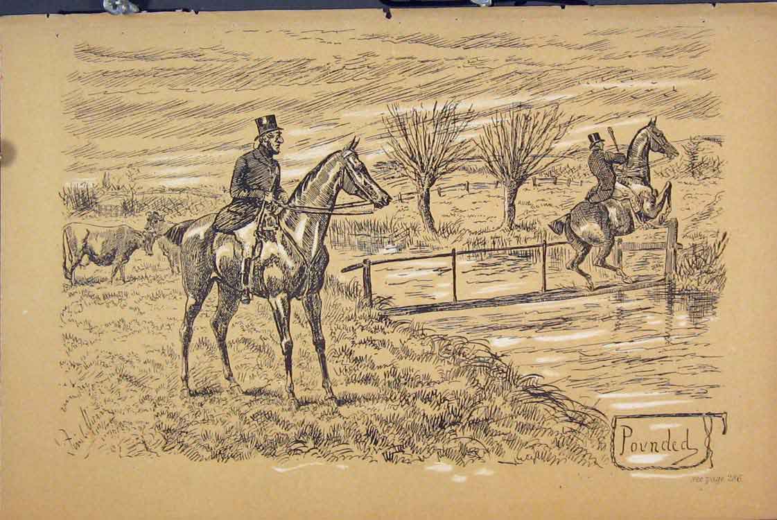 Original Old Antique Print C1881 Horse Jumping River Cow Country Scene Sepia