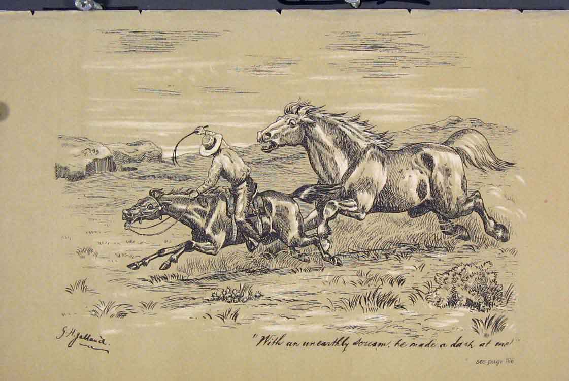 Original Old Antique Print C1881 Wild Horse Chasing Man Country Scene Victorian