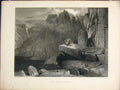 Original Old Antique Print Eagle Nest Eagle'S Fine Art Bird C1895 19th