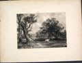 Original Old Antique Print Scene Cadyow Park Cow Scotland Art