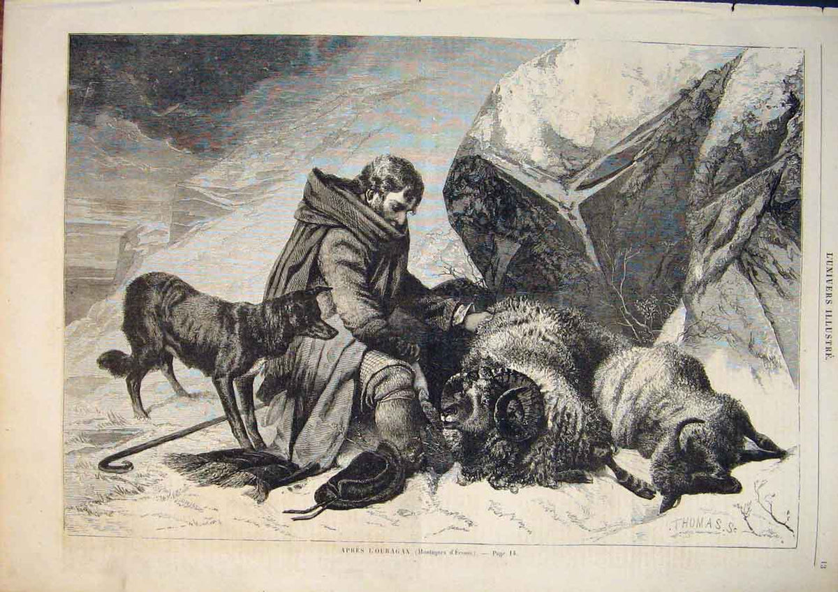 Original Old Antique Print Swiss Mountains Switzerland Sheep Shepherd Dog