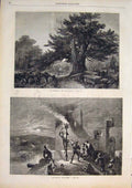 Original Old Antique Print De Montvert Tree Woods Alarm War Battle 1859 19th