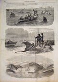 Old Antique Print Fish Fishing America Shark Black Sea Fort Golowine 1859 19th