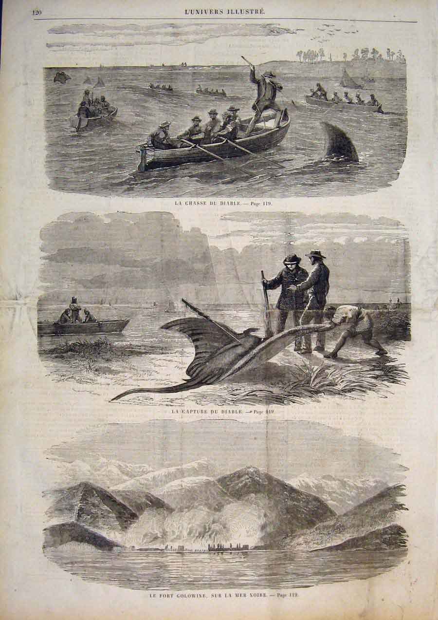 Old Antique Print Fish Fishing America Shark Black Sea Fort Golowine 1859 19th
