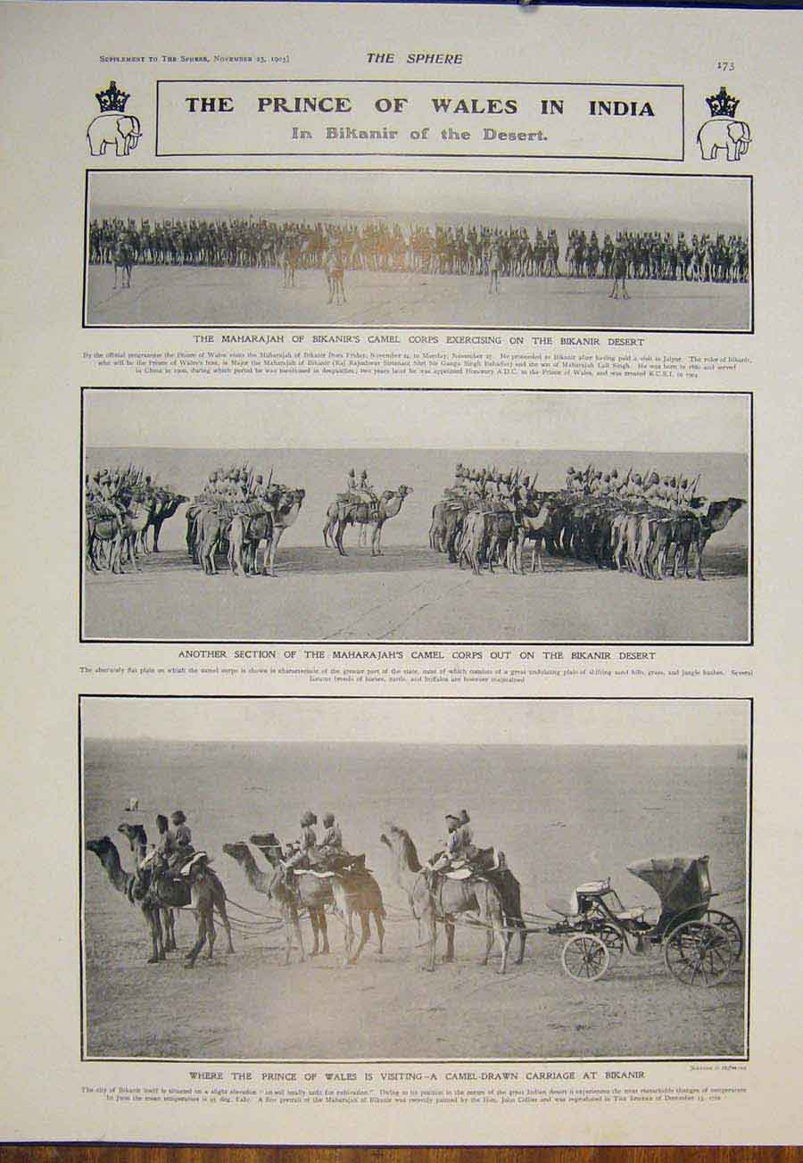 Old Antique Print Prince Wales India Bikanir Desert Maharajah Camels 1905 20th