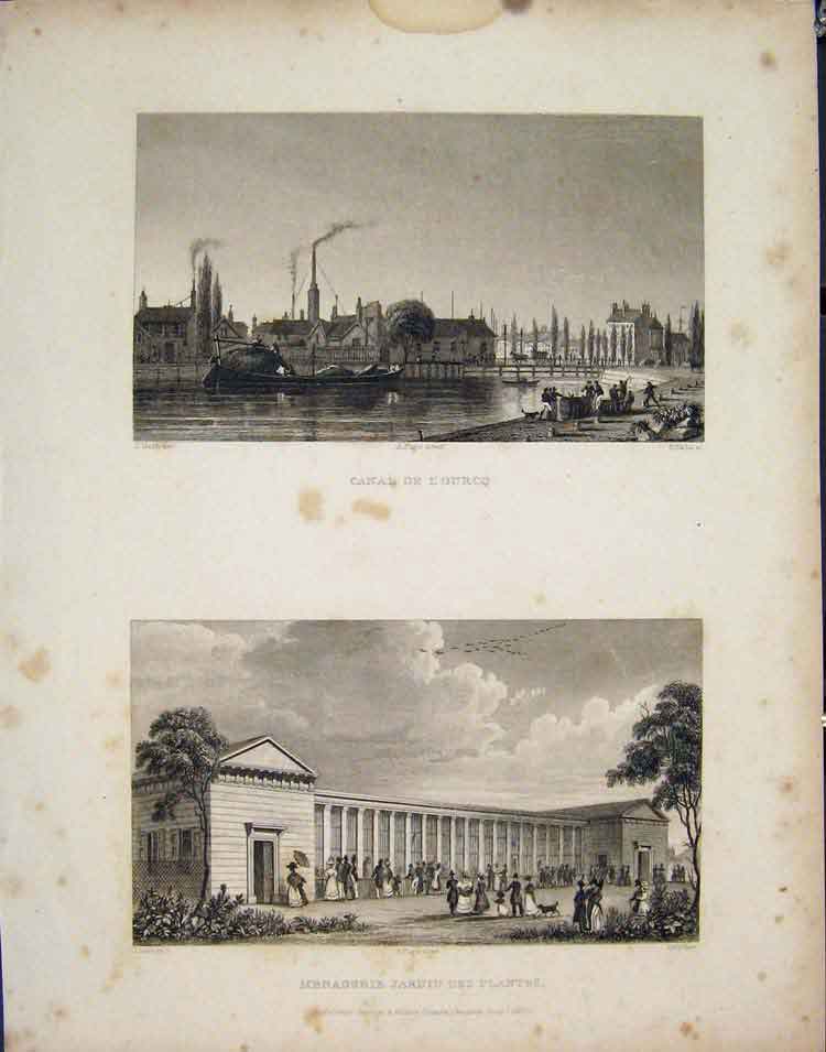 Original Old Antique Print Canal Lourcq Menagerie Jardin Plantes France C1852