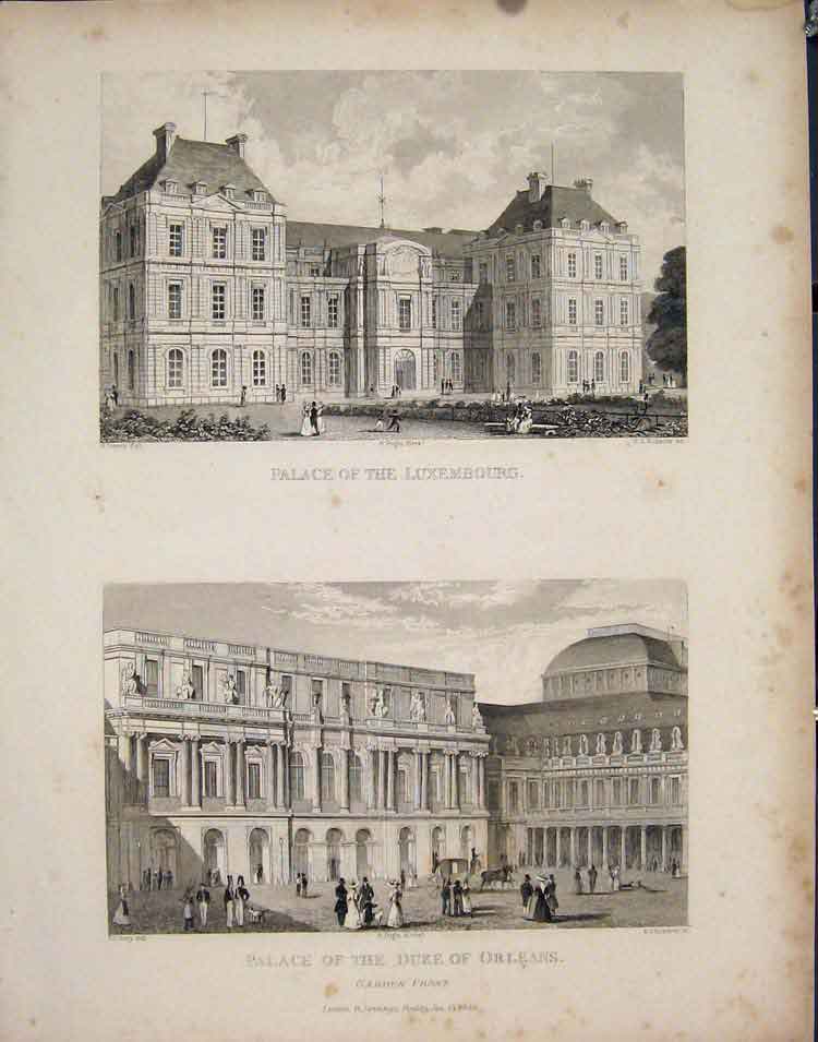 Original Old Antique Print Palace Luxembourge Duke Orleans France C1852 19th