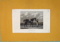 Original Old Antique Print Syntax Inventry GCups Horse Rider Fine Art C1825 19th