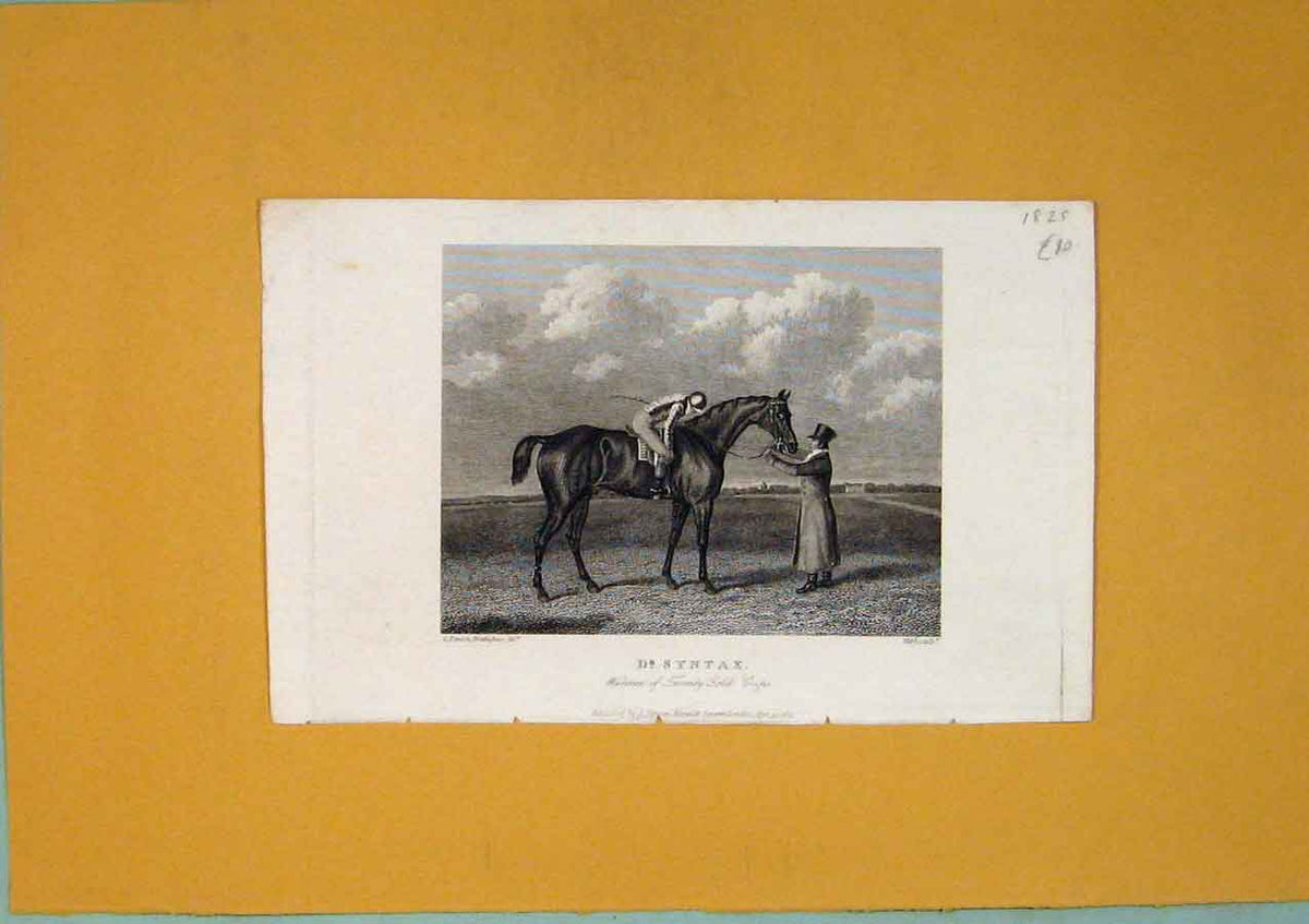 Original Old Antique Print Syntax Inventry GCups Horse Rider Fine Art C1825 19th