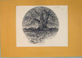 Original Old Antique Print King Border Scotland Fine Art C1880 19th