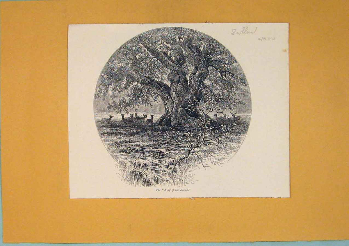Original Old Antique Print King Border Scotland Fine Art C1880 19th