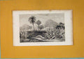 Original Old Antique Print Corn Rice Cereal Cerealia Grain Plant Tree C1868 19th