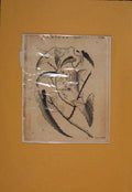 Original Old Antique Print Smilax Flower Flowers Plant Plants Flora Victorian