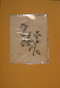 Original Old Antique Print Ref.45 Sebesten Flower Flowers Plant Plants Flora