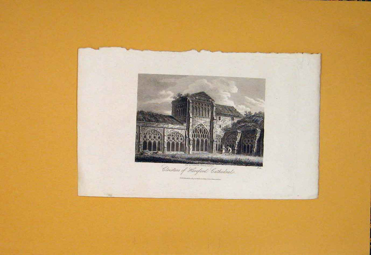 Original Old Antique Print Cloisters Hereford Cathedral Fine Art