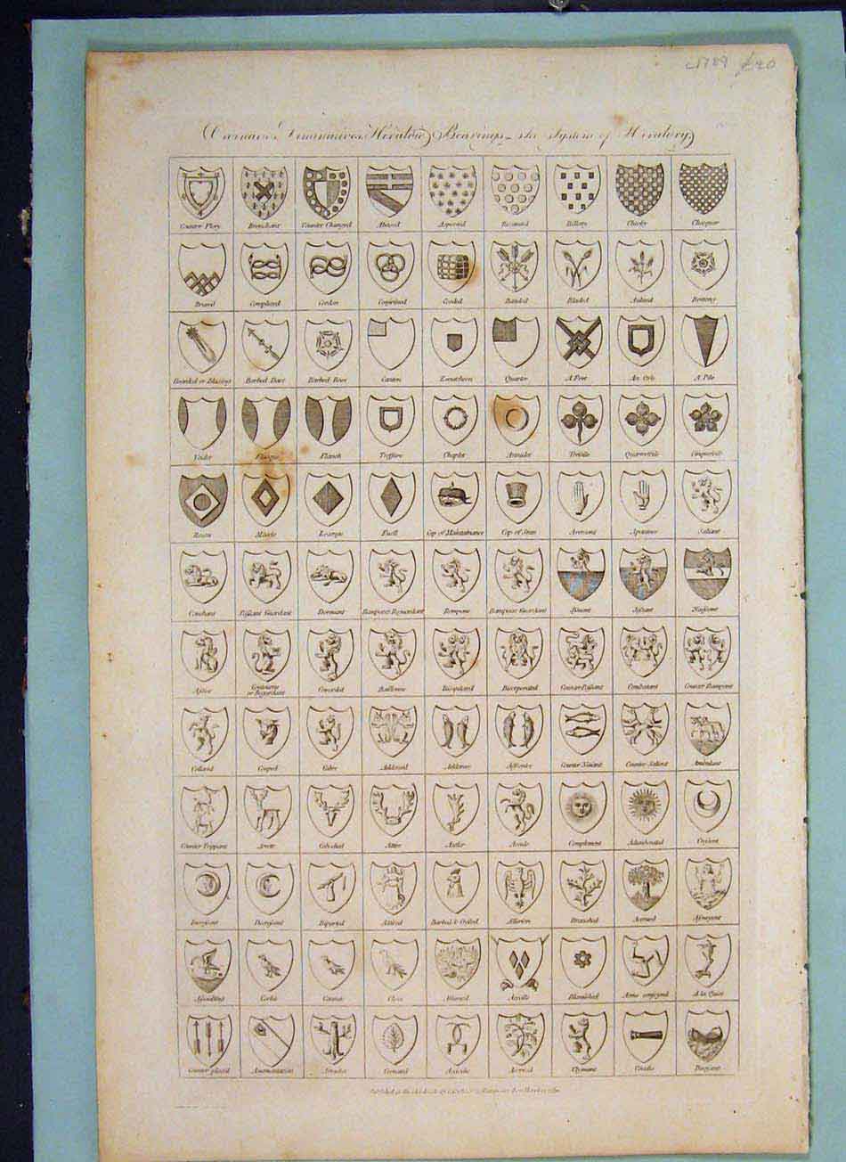 Original Old Antique Print Heradry Flags Flag Shield Shields C1789 18th Century
