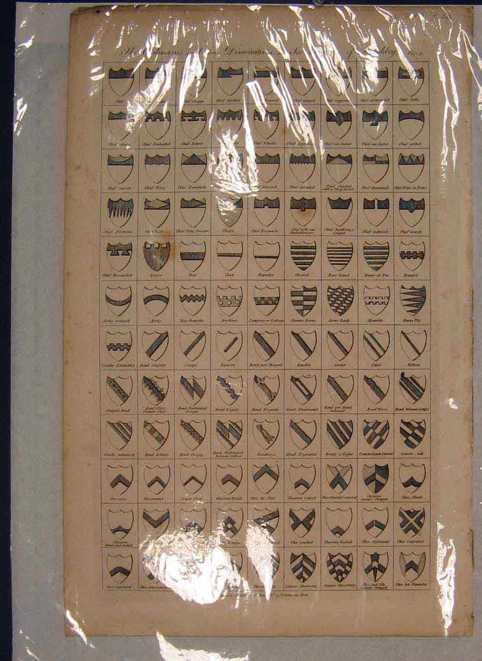 Original Old Antique Print Ref.55 Heradry Flags Flag Shield Shields C1789
