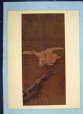 Original Old Antique Print Bird Perched Color Fine Art Eastern