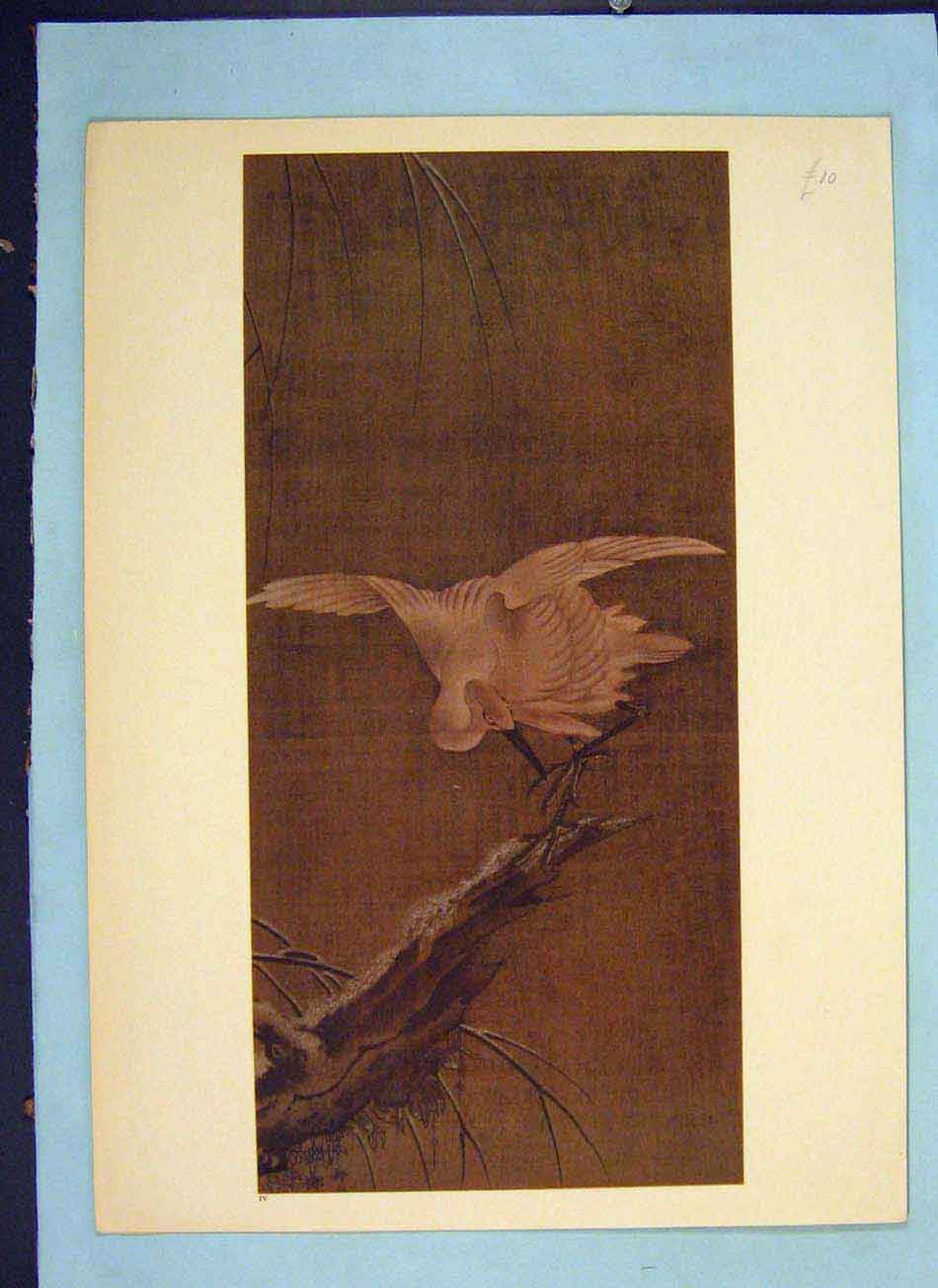 Original Old Antique Print Bird Perched Color Fine Art Eastern