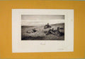 Original Old Antique Print C1898 Partride Birds Field Sitting 19th